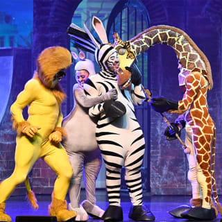 Madagascar, une aventure musicale DreamWorks au Théâtre du Gymnase 3