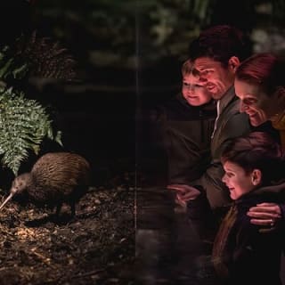 Kiwi Park Queenstown Admission 1