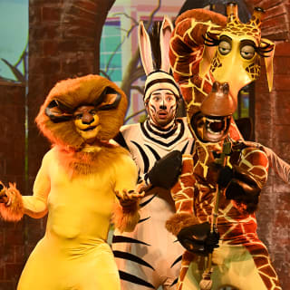 Madagascar, une aventure musicale DreamWorks au Théâtre du Gymnase 4