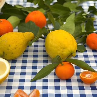 Soller Valley Walk with Orange Farm Visit 10
