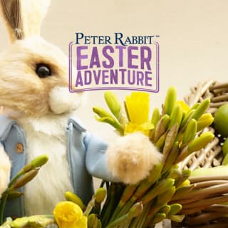 The Peter Rabbit™ Easter Adventure 2