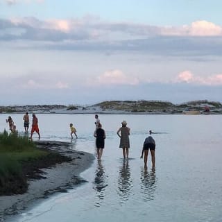 Private 3 Hour Powerboat Dolphin Cruise with Remote Beach Stop up to 6 guests 5
