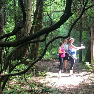 Forest Bathing & Nature Therapy Walk 17