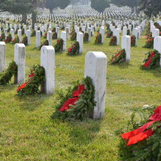 Arlington Cemetery and DC Highlights Tour 6