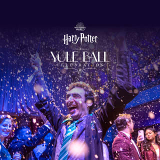 Harry Potter: A Yule Ball Celebration 2