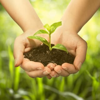 Día mundial del medioambiente 2 1