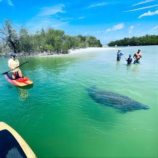 Dolphin and Manatee Adventure Tour in Fort Myers 8