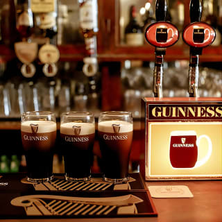 Guinness Pint Tour en Dublín con degustación 13