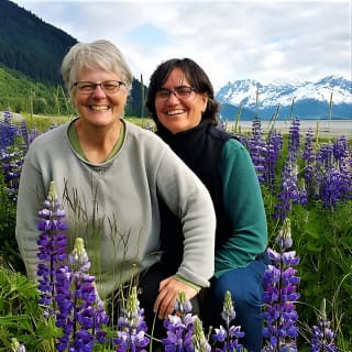 Anchorage to Wilderness Wildlife Glacier Value 10