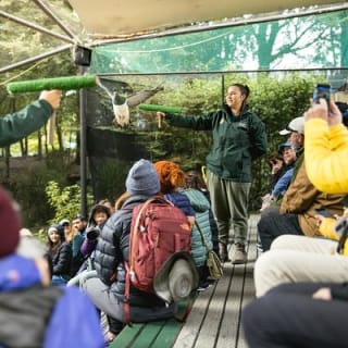 Kiwi Park Queenstown Admission 7