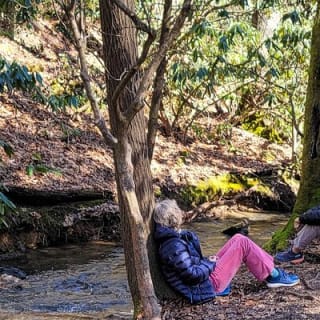 Forest Bathing & Nature Therapy Walk 21