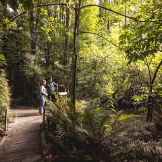 Kiwi Park Queenstown Admission 8