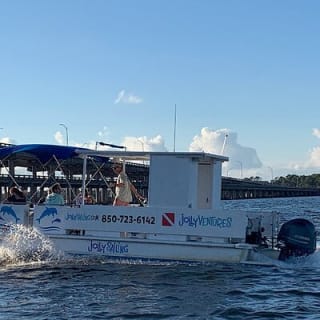 Private 3 Hour Powerboat Dolphin Cruise with Remote Beach Stop up to 6 guests 11