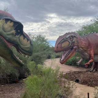 Phoenix Zoo: Entry Ticket 10