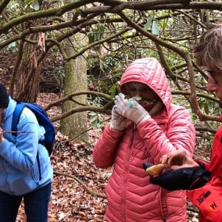 Forest Bathing & Nature Therapy Walk 22