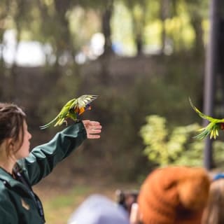 Kiwi Park Queenstown Admission 9