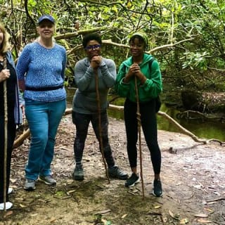 Forest Bathing & Nature Therapy Walk 23