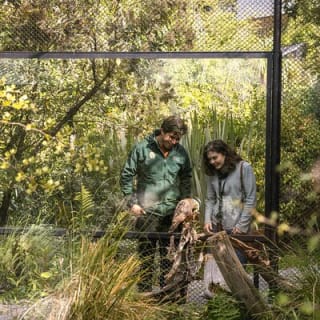 Kiwi Park Queenstown Admission 10