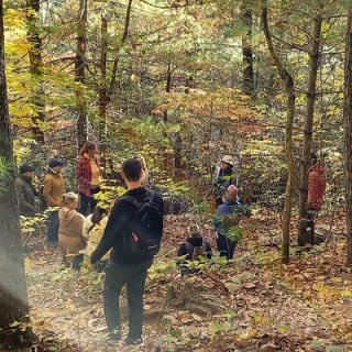 Forest Bathing & Nature Therapy Walk 24