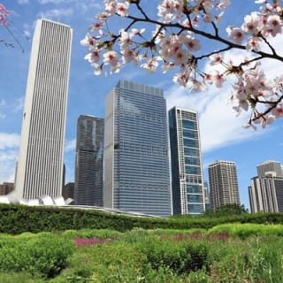Chicago Millennium Park Self-Guided Walking Tour 4