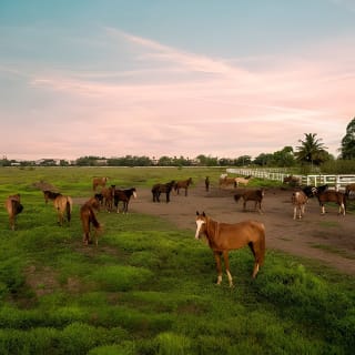 Horseback Riding Tour at Private Ranch 17