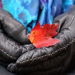 Forest Bathing & Nature Therapy Walk 25