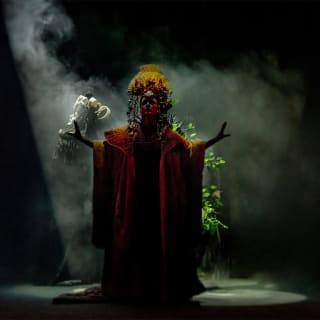 Noche de Máscaras - Lumine 5