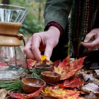 Forest Bathing & Nature Therapy Walk 26