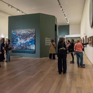 Colección AMALITA 4