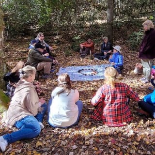 Forest Bathing & Nature Therapy Walk 27