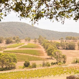 Hunter Valley Wine and Wildlife Reserve Tour ab Sydney 4