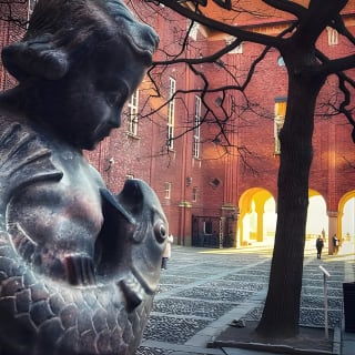 2-Hour Walking Tour Stockholm (Old Town and Surroundings) 6