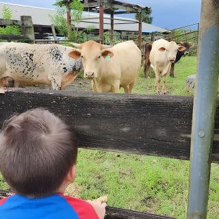 Eco Friendly Farming Tour to Explore Dorado's Most Beautiful Farm 8
