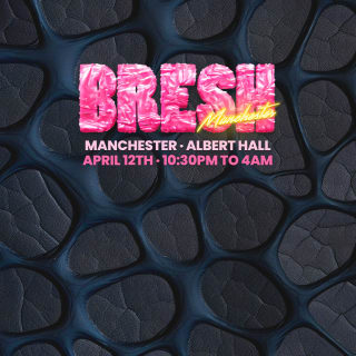 BRESH: The Most Beautiful Party in the World 1