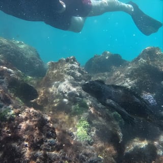 Full day Snorkeling Tour Santa Fe Island and Playa Escondida 6
