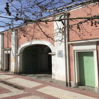 Explorando la Quinta de los Molinos: Un Paseo Botánico, Primaveral e Histórico entre Almendros en Flor 2