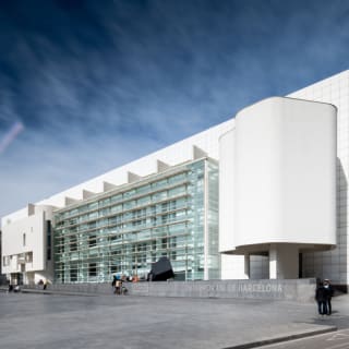 Visita el Museu d'Art Contemporani de Barcelona (MACBA) 1