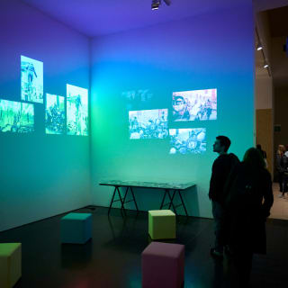 Visita el Museu d'Art Contemporani de Barcelona (MACBA) 2