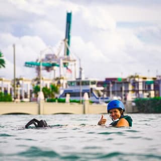 Lerne, wie man mit einem Pro Flyboarden, Miamis ultimatives Abenteuer 11