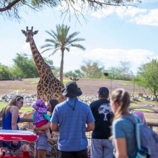 Phoenix Zoo: Entry Ticket 15