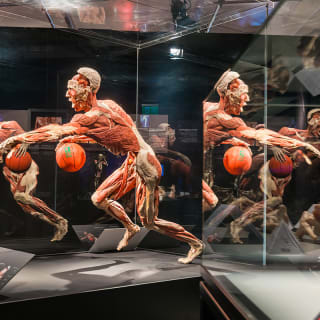 BODY WORLDS: The Anatomy of Happiness - Gift Card 5