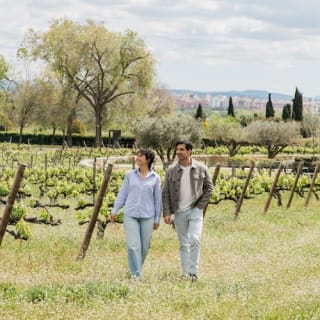 Bodegas Torres: Visita guiada + Maridaje de vinos y tapas 2