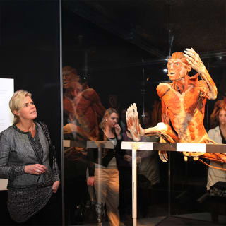 BODY WORLDS: The Anatomy of Happiness - Gift Card 6