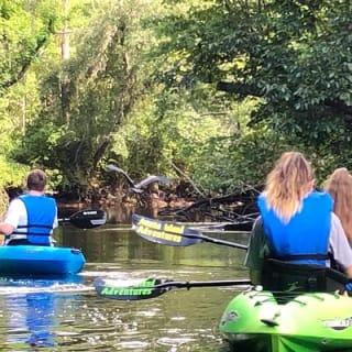 Guided Kayak Eco Tour: Real Florida Adventure 2