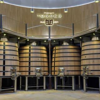 Bodegas Torres: Visita guiada + Maridaje de vinos y tapas 3