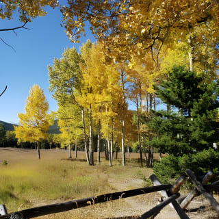 Excursión compartida de medio día por las montañas de Red Rocks Evergreen y Echo Lake 13