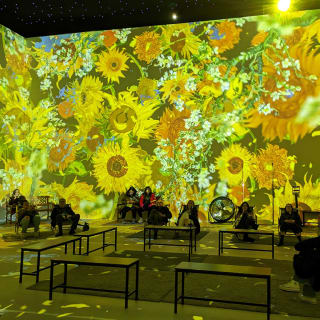 Happiness Package: Bubble Planet + Van Gogh in Utrecht 5