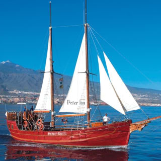 Los Cristianos: Paseo en barco guiado para avistar ballenas 6