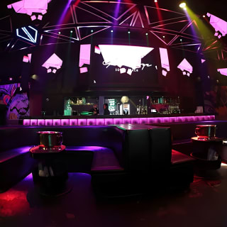 Miami Night: la massima esperienza di nightclub 8