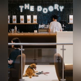 The Dogry, a 400 M² Living Space Dedicated to Dogs - Paris 1